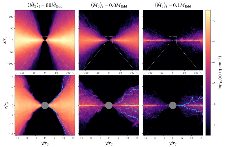 Figura 3: Cortes de densidad en disco de acreción (Zhang et al. 2025)